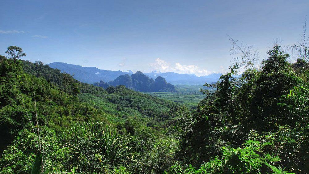 Khao Sok Riverside Cottage Khao Sok National Park Extérieur photo