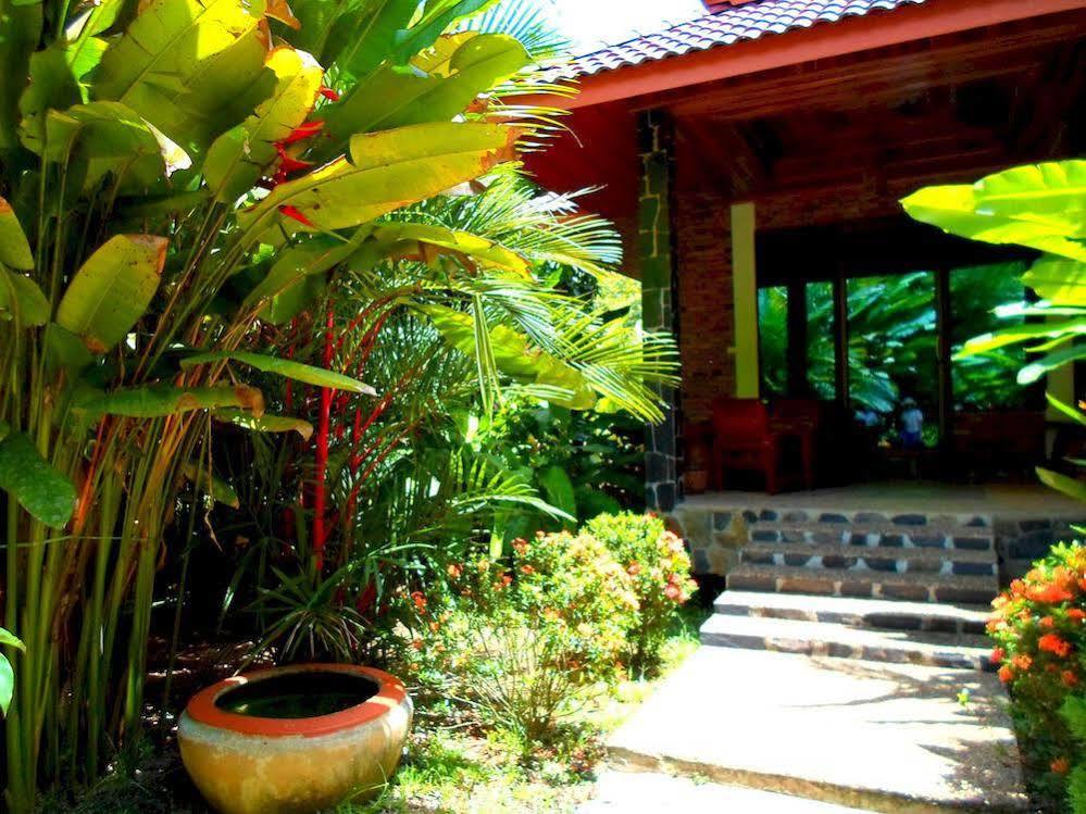 Khao Sok Riverside Cottage Khao Sok National Park Extérieur photo